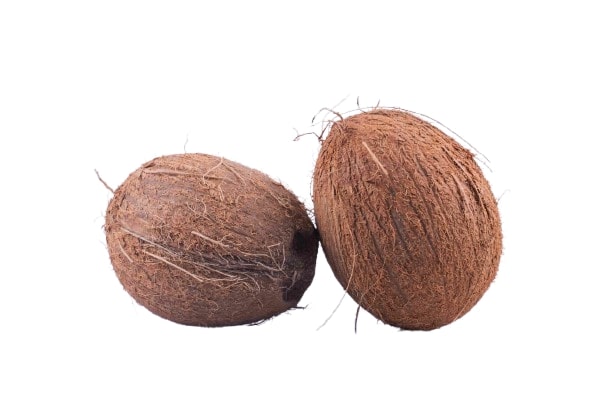 Semi Husked Coconut